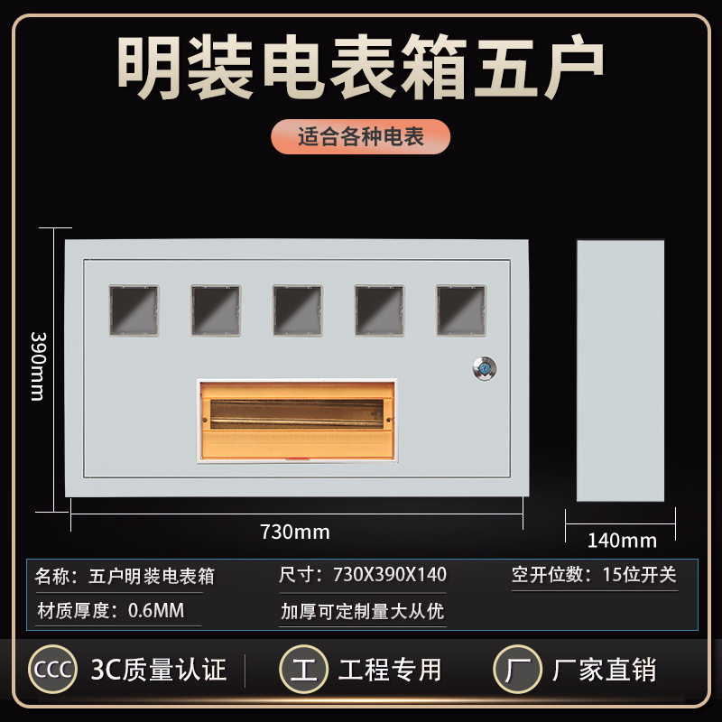 明装防水插卡电表箱5户户外220V