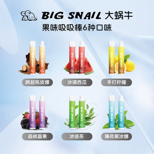 BIG SNAIL大蜗牛多用途果味吸棒嘴吸鼻吸增香棒爆珠果味嘴替清凉