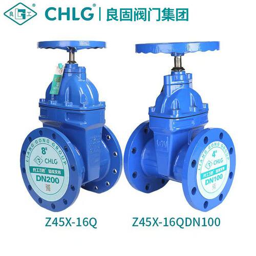 软密封暗杆闸阀Z45X-16Q弹性座