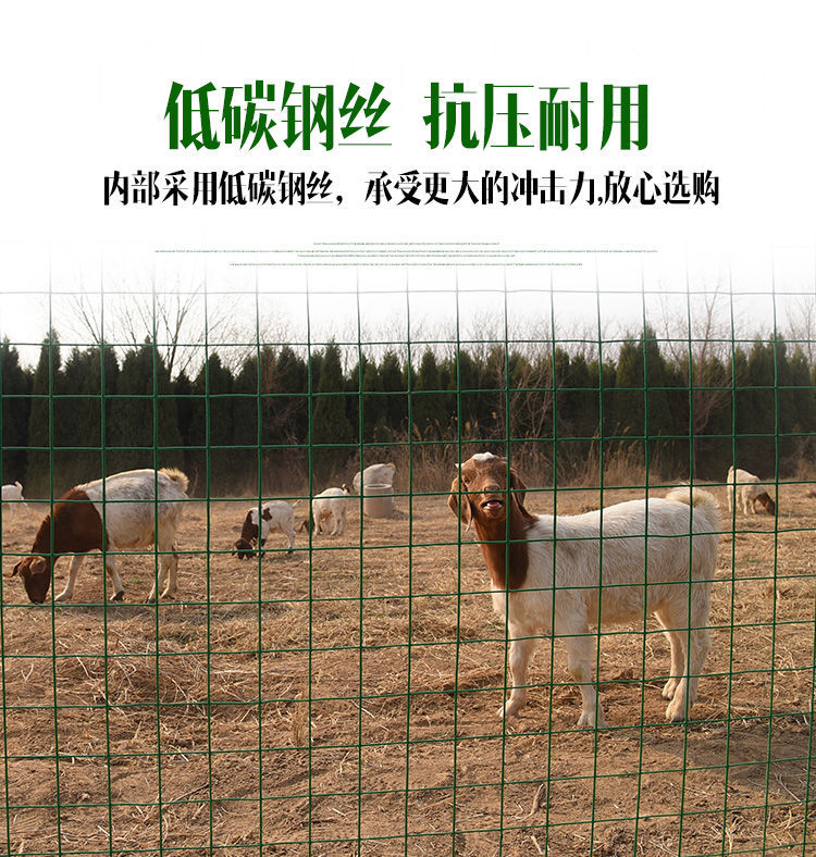 铁丝网荷兰网护栏网户外圈地家用鸡鸭鹅养殖网隔离网钢丝网防护网