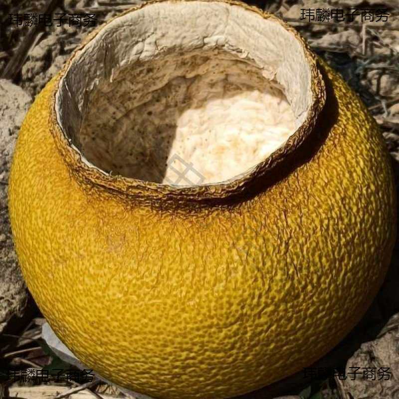 杂物茶装西双版纳柚子皮储物罐子装手工制作其他中国大陆韩式无