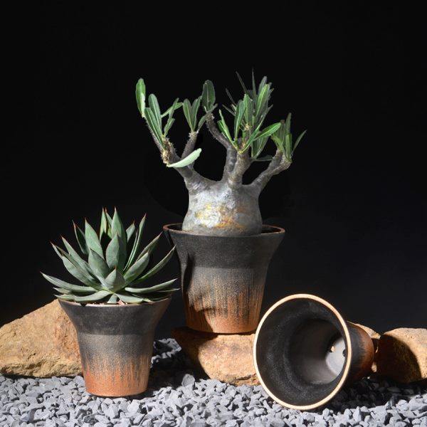 潮玩块根严龙黑王丸龟甲龙专用盆象足漆树龙舌兰潮流个性黑金花盆,家居饰品,花盆,淘宝优惠券,粉丝福利购,淘宝优惠卷