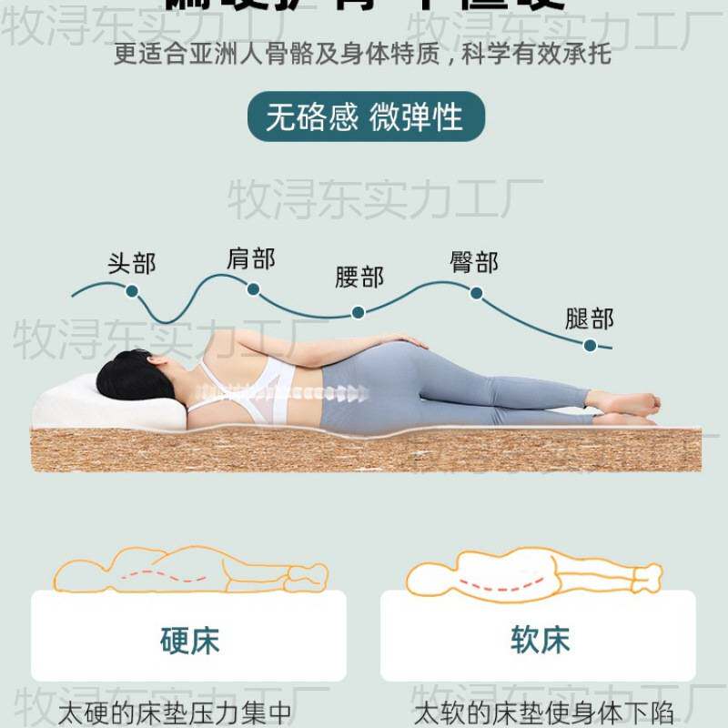 天然椰棕床垫硬垫子家用卧室偏硬棕榈护腰护脊厘米床垫租房专用