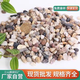 地暖鹅豆石耐高温汗蒸卵石园林铺过路造景雨871花石子装 修滤石头