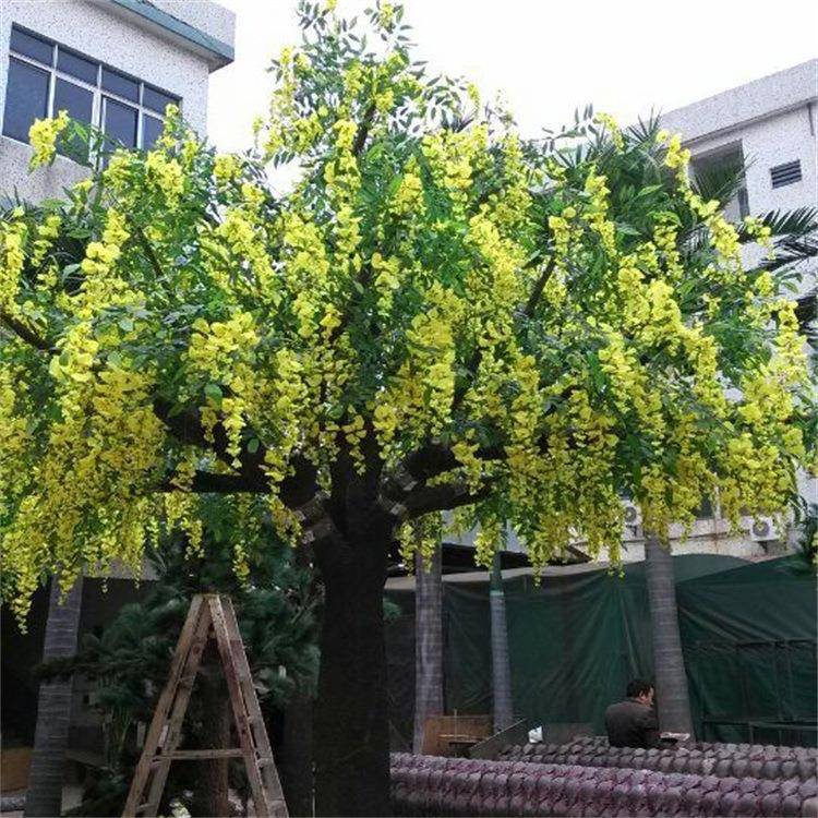 时尚常青豆花树婚礼酒店装饰摆设装饰树园林景观工程树优质豆花树