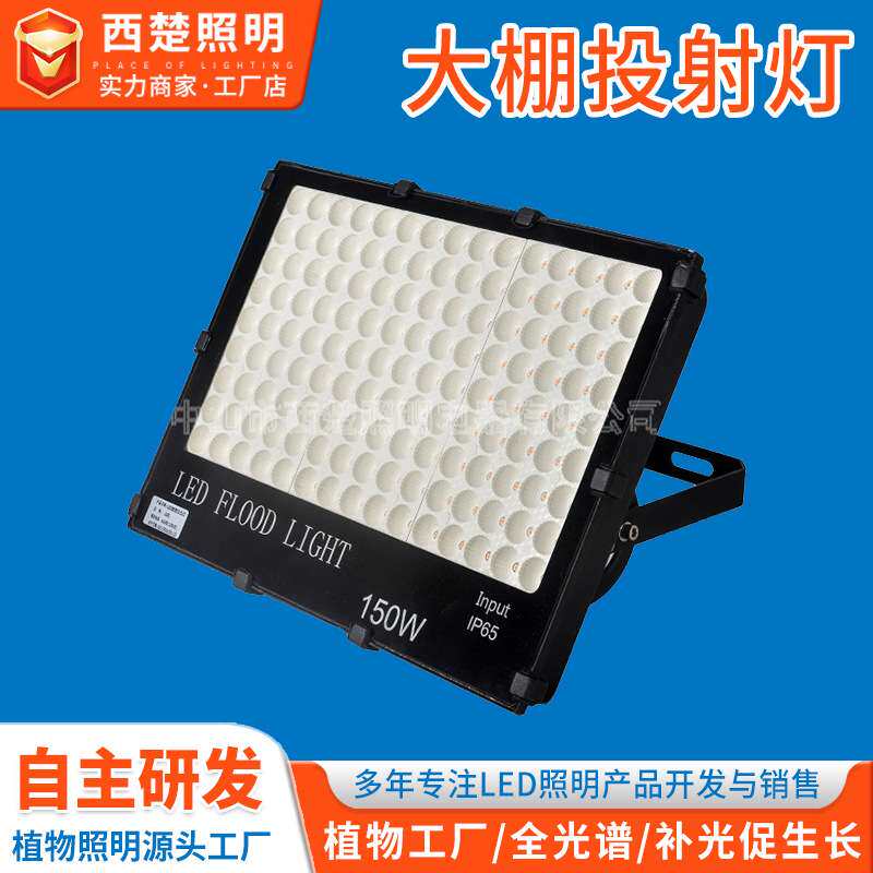 室内外大棚投射灯 走廊养殖大棚别墅屋内投射灯LED植物投光照明灯