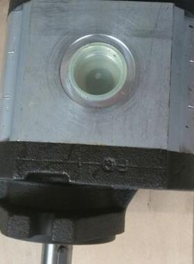 意大利RONZIO罗茨02ZCG17S438D全系齿轮泵液压马达选型参数