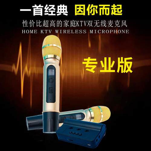 工厂现货手持家庭娱乐KTV一托二U段直播会议车载舞台无线麦克风