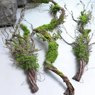 仿真老树藤苔藓枯藤森系造景装饰摆放假藤青苔藤垂挂陈列树枝花艺