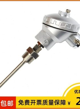 上海仪表 wzpk2-235sa 双支热电阻Pt100 L=6*200mm 0~300℃ m27*2
