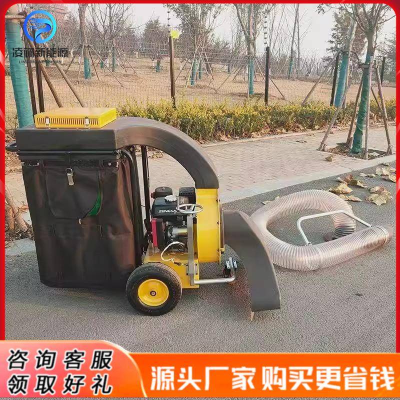 市政环卫落叶清扫机大型吸叶机手扶自走式园林绿化汽油树叶收集器