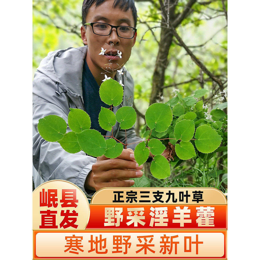 甘肃野小叶生淫羊藿中药材玛咖肉苁蓉锁阳仙灵脾正品泡酒男性泡水