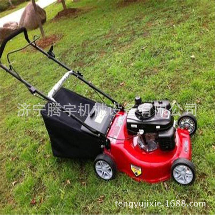 腾FIX宇价多手推式电动草坪机20寸汽油割草机背少钱图片负式割草