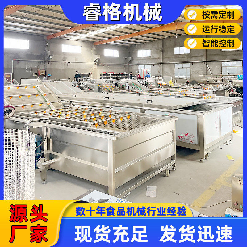 商用大型果蔬气泡清洗机