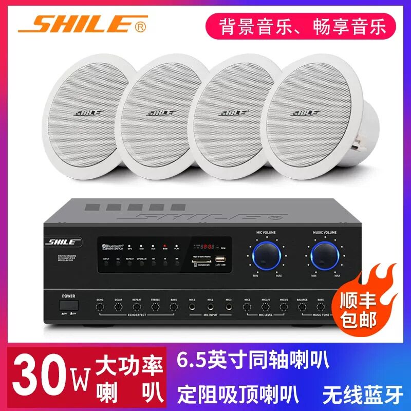 狮乐 BX206吸顶喇叭式吊顶高音背景音乐音响套装公共广播会议音箱