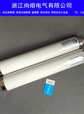 XRNT-3/40.KV5/50A6A80OXFA3100A高压5高分断限流熔断器保险丝管3