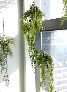 芊蔚室内物空垂吊树根创蕨仿真绿植吊饰家居IXJ中意花艺设计