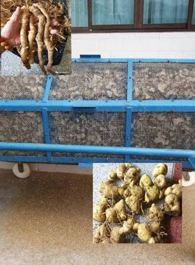 骨金碎朴玉竹黄白芨射干毛金樱AUJ子脱机荞麦脱毛机清洗滚精筒筛