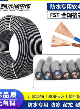 山东远通电线国标水泵线JHS防水电缆拖地线用FST2芯3芯4芯电缆