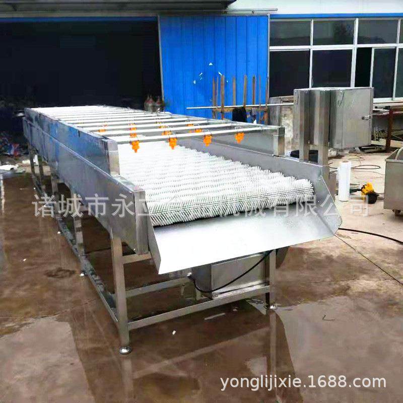 根茎类蔬菜去皮清洗设备土豆圆葱胡萝卜毛辊清洗机,纺织面料/辅料/配套,纺织机械配件,淘宝优惠券,粉丝福利购,淘宝优惠卷