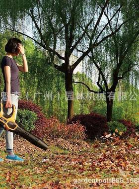 TPBL605充风低电工业吹风机式无刷电机噪音无线吹落机马路鼓除尘