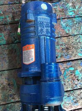 雨污泵沃铜芯线750W排污泵小型60429家用农用2寸潜水水水泵抽机