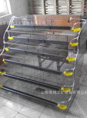丝养殖用鹌鹑形笼子立式鸽子笼子带料槽水管铁DGG梯鹌笼鹑子