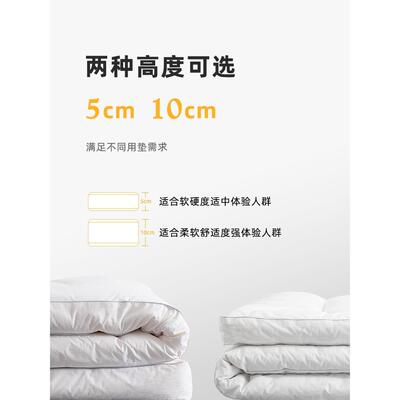 褥子垫豆纤维被软床褥榻榻45208米垫垫子大卧室床垫垫家用五褥酒