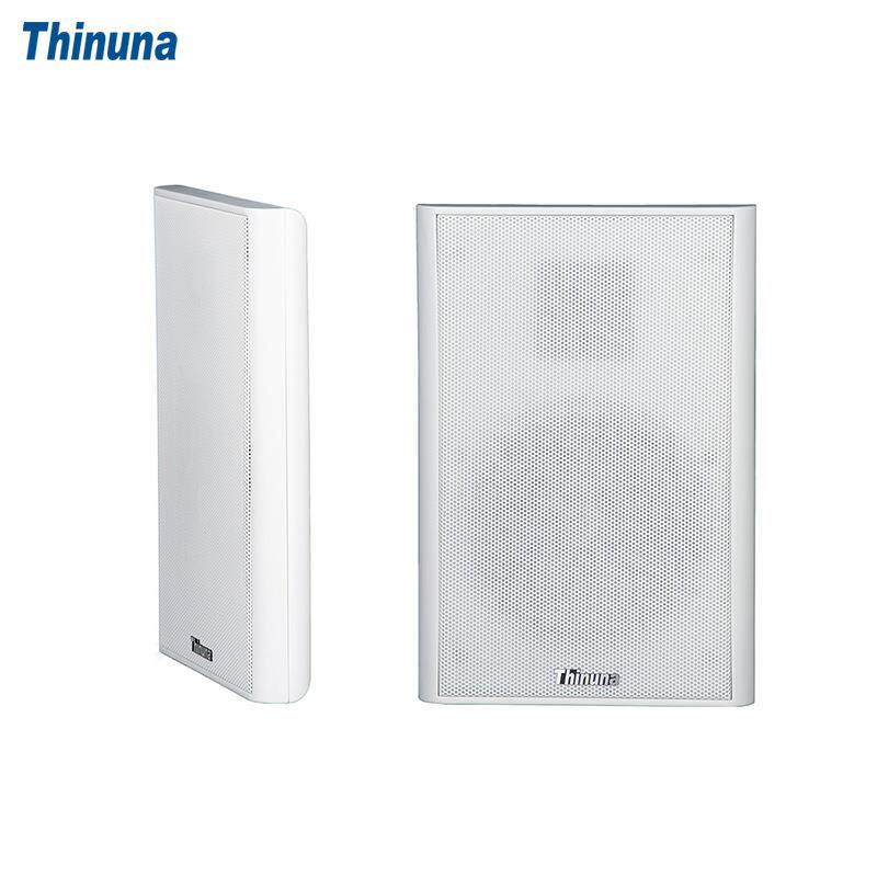 ThinunaXS-25薄身平板音箱学校餐厅办公室背景音乐喇叭音响设备