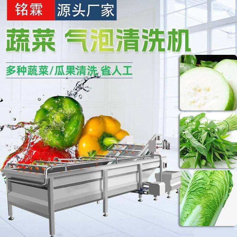 冬瓜空心菜清洗机全自动小白菜清洗机设备芒果气泡清洗机价格,机械设备,其他机械设备,淘宝优惠券,粉丝福利购,淘宝优惠卷