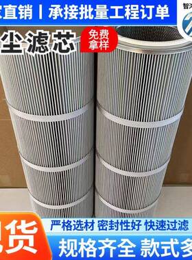 防静电不防钢腐除尘滤芯滤筒锈阻燃滤筒耐高温73900空覆膜防静电