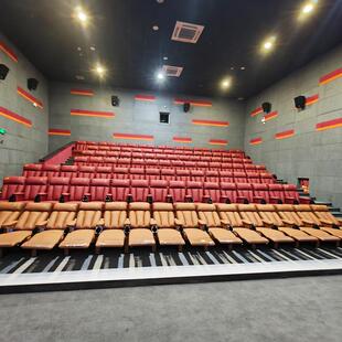 剧院座椅会议室无品牌/椅礼堂座椅报厅桌音椅乐报告排厅联排坐椅