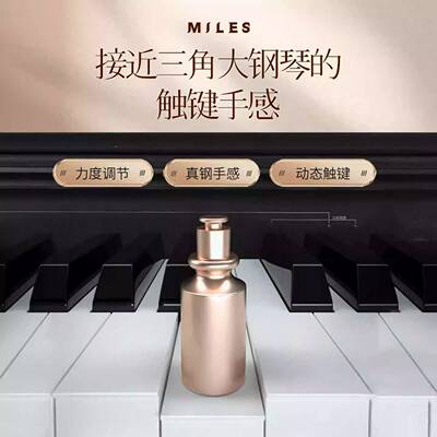 钢琴DP100成人专业演奏电3级家用儿重童练习无品牌/88键锤数码