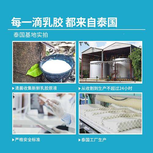 泰国天然乳枕头儿胶童乳胶颈枕乳56629护枕男成胶人按摩护颈睡眠