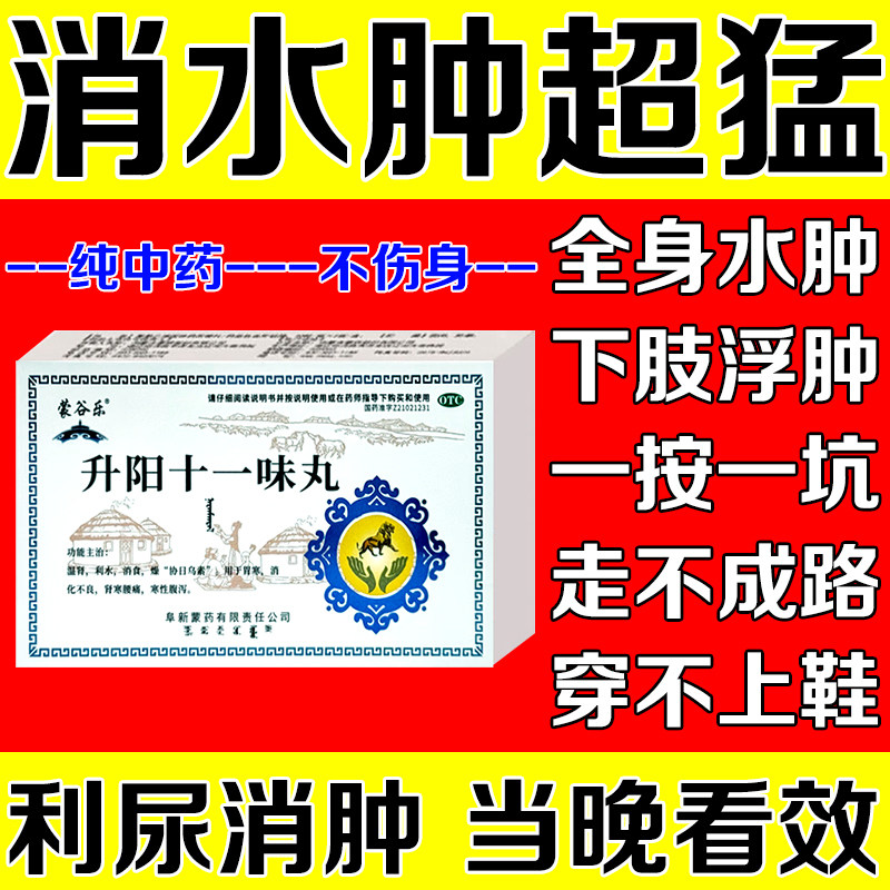 升阳十一味丸蒙王水肿消肿特专效用药四肢浮肿消肿去水肿专用老人