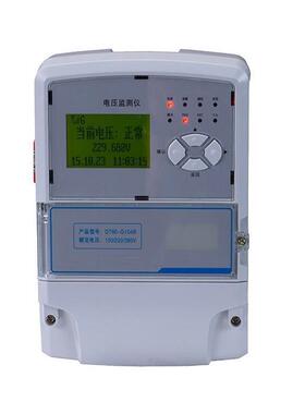 北京电压监测仪型号:YL12-DT60库号：M377179