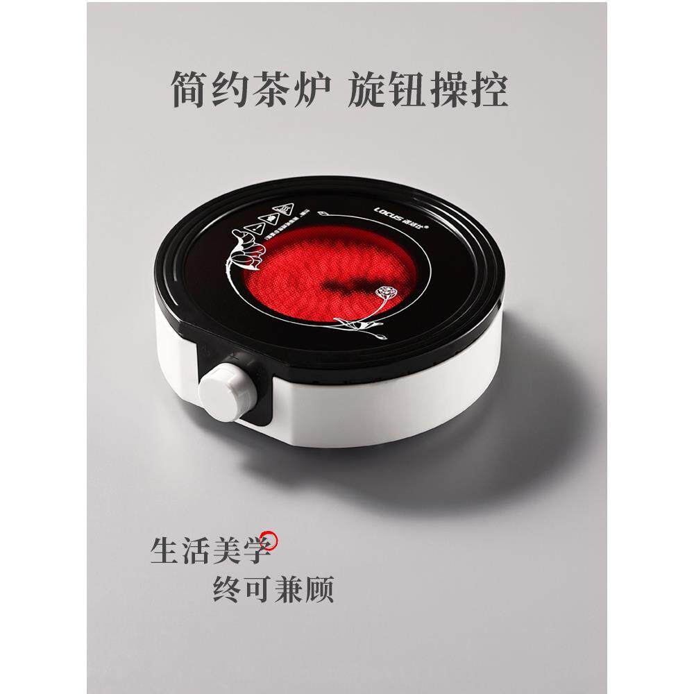 诺洁仕煮茶器喷淋式小型蒸汽煮茶壶养生壶迷你型家用蒸茶器电茶炉