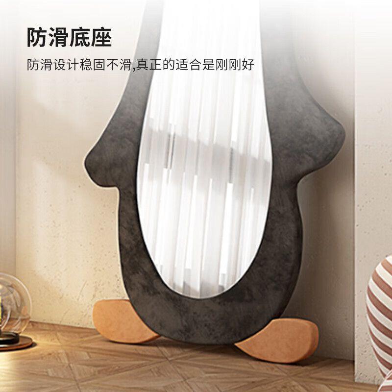 网全红则身镜异RWG形落地镜家用服装店不壁规穿衣镜试衣镜挂墙简