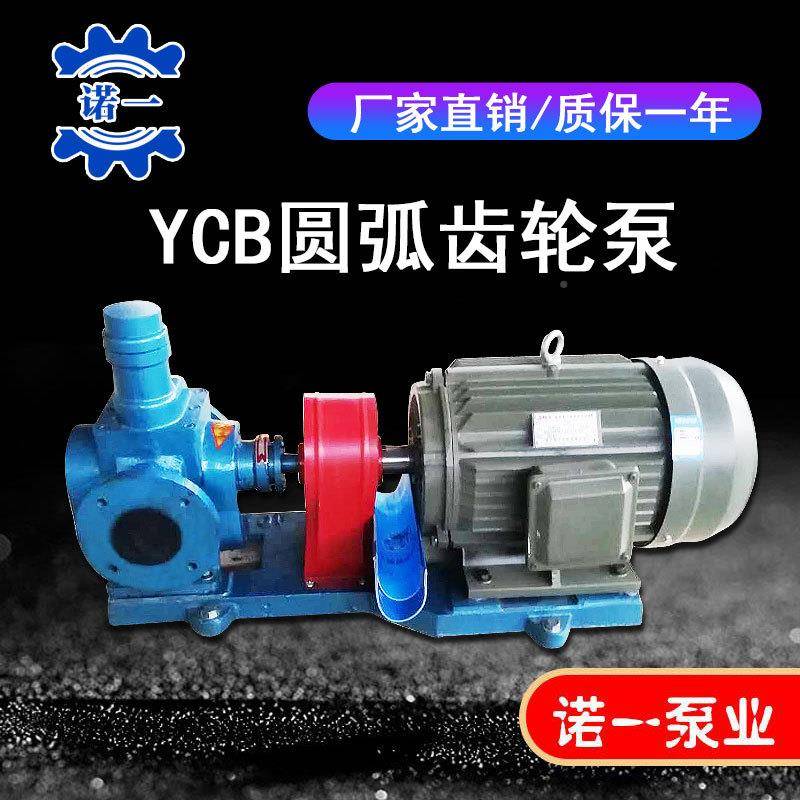YB圆弧齿轮泵C漏双圆弧油泵增压喷射燃油电动卧式XVT噪音低泄无泵