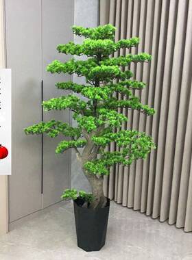 仿真植物盆客栽迎植松客玄关DJX摆件大型绿室内装饰假树花景招财