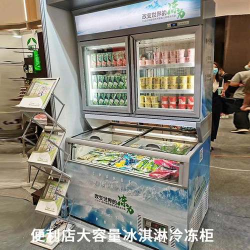 便利店子柜SIR/双温冷藏冷冻柜百母园榴莲柜冷711冰淇淋柜果雪糕