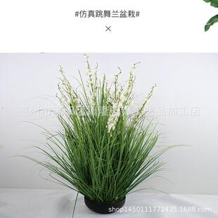 仿真跳舞栽兰文心兰假花栽婚盆庆场VGV景布置芦草盆仿真蝴蝶苇兰