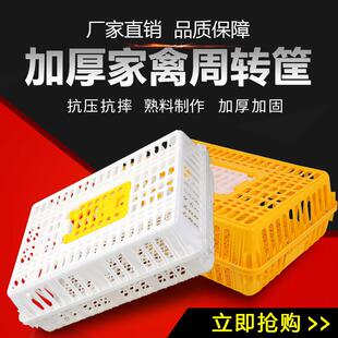 鸡用鸡禽笼DVM周转箱成鸭鹅运形输笼加厚鸡长方鸡笼子特大号家鸡