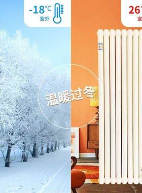 钢制暖钢气片16001800二柱式明装暖气片水暖散热器客厅厨94411房