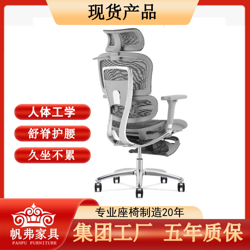 人体工学椅舒适久坐办公椅可躺电脑椅护腰电竞椅升降老板座椅