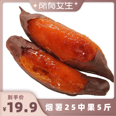 烟薯25号糖心红薯蜜薯番薯红心