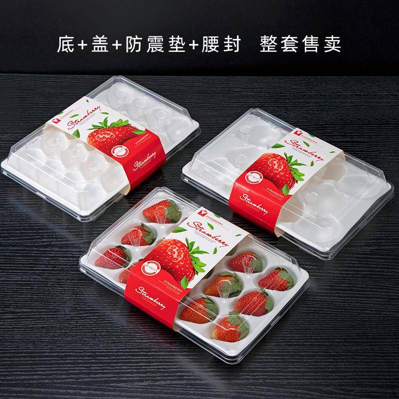 网红草莓盒带托一次性透明草莓盒塑料高档水果盒装草莓盒包装盒子