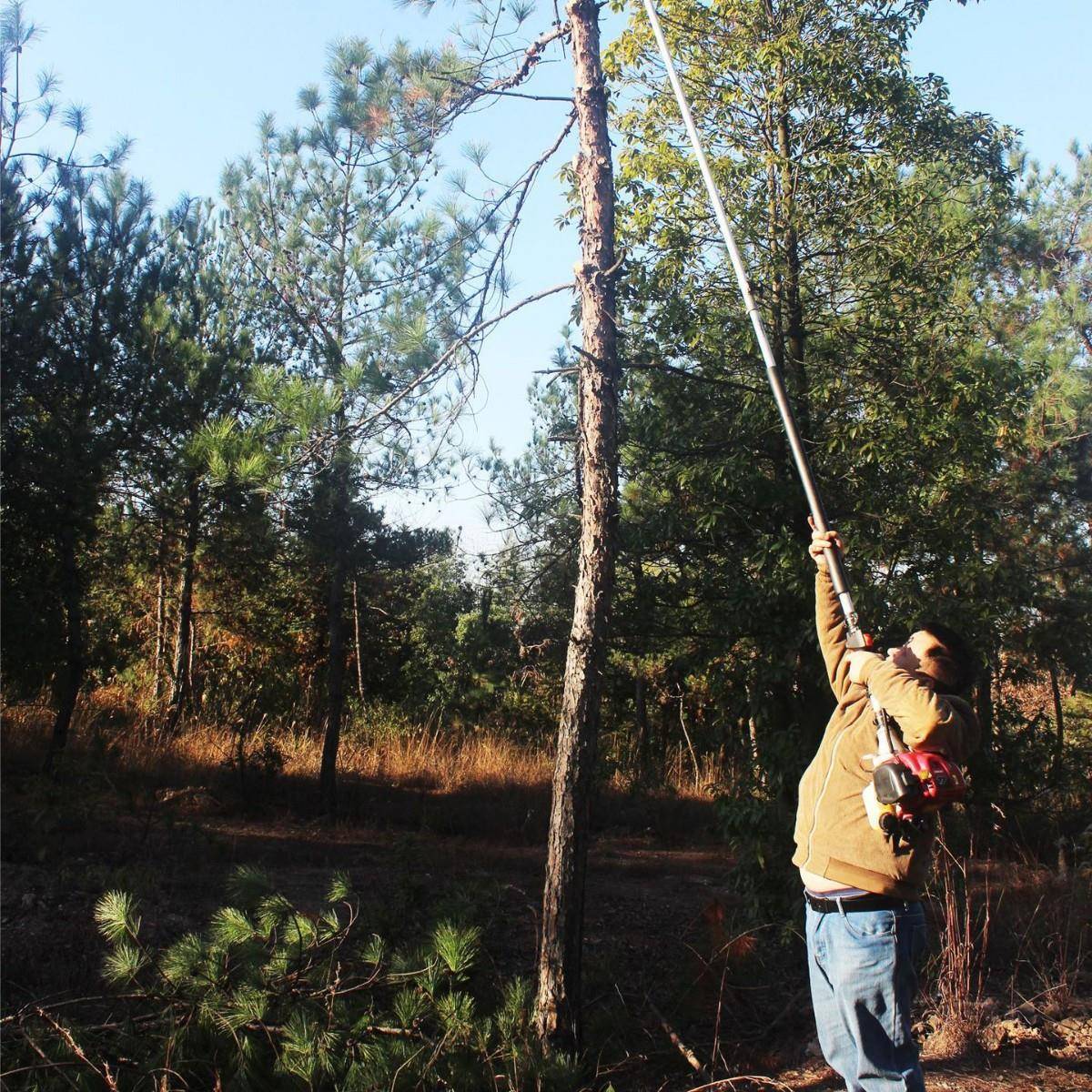 高油空锯MQF长高枝锯枝汽油高空锯高杆修枝杆锯修剪园林绿化修剪