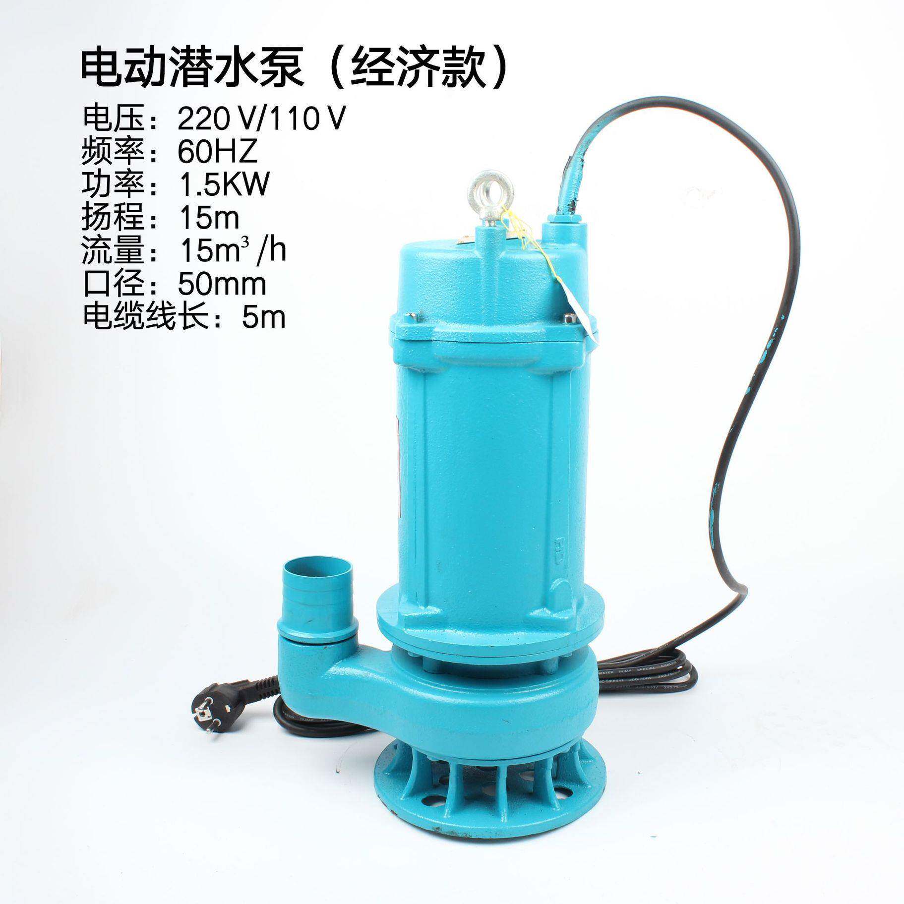 电泵动潜水泵IMAP591623井水泵污水泵抽水1TVU农用灌溉水泵10V