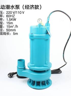 电泵动潜水泵IMAP591623井水泵污水泵抽水1TVU农用灌溉水泵10V